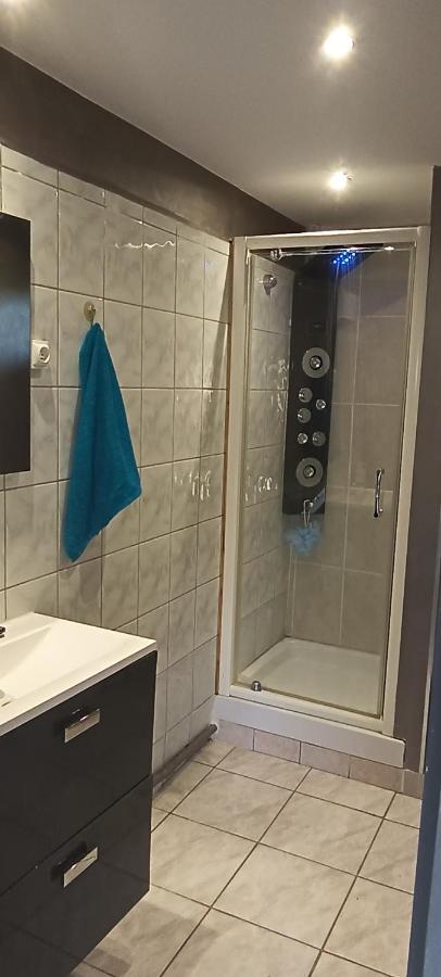 Charmante Maison Avec Piscine Anneyron المظهر الخارجي الصورة