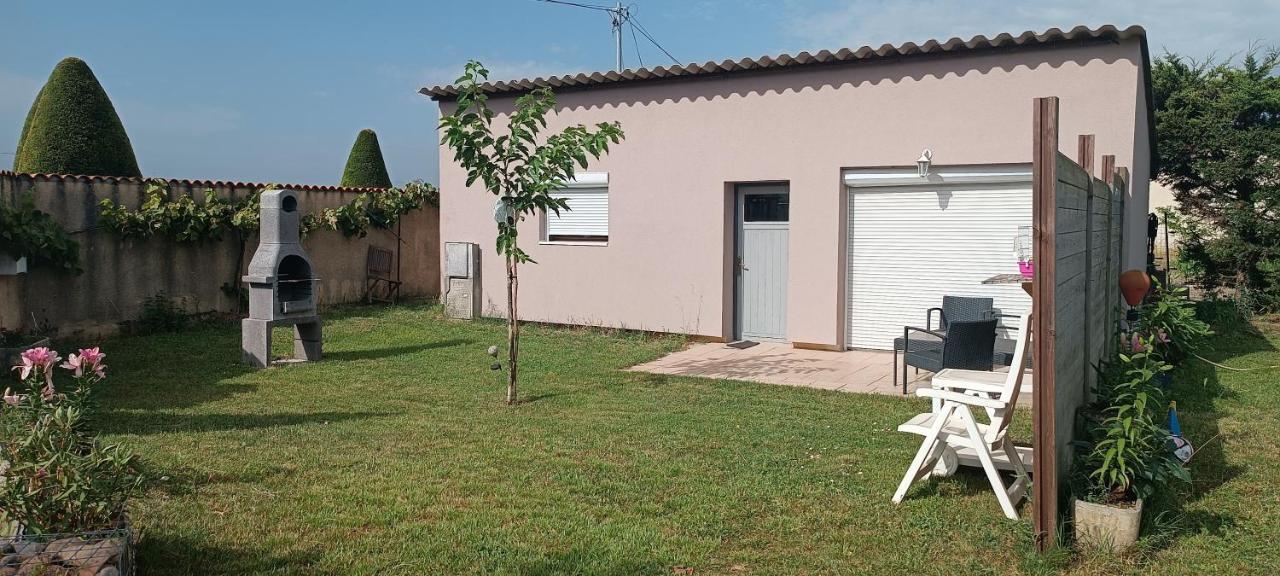 Charmante Maison Avec Piscine Anneyron المظهر الخارجي الصورة